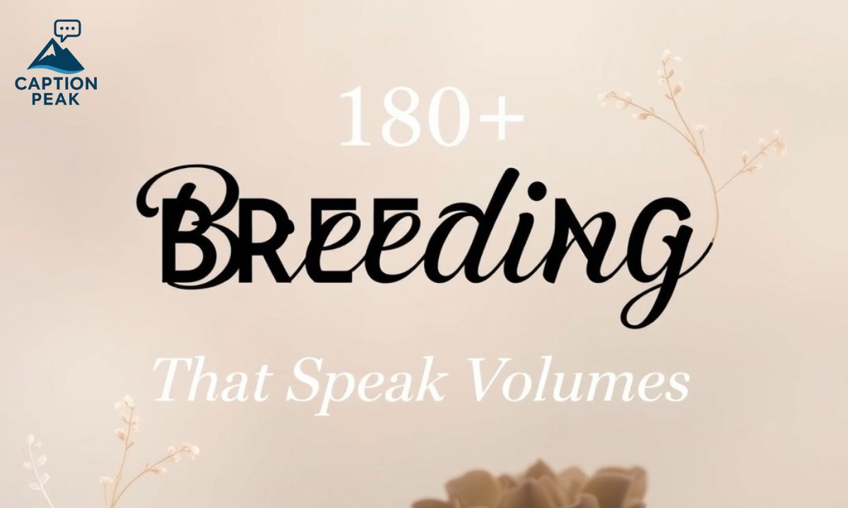180+ Breeding Captions That Speak Volumes